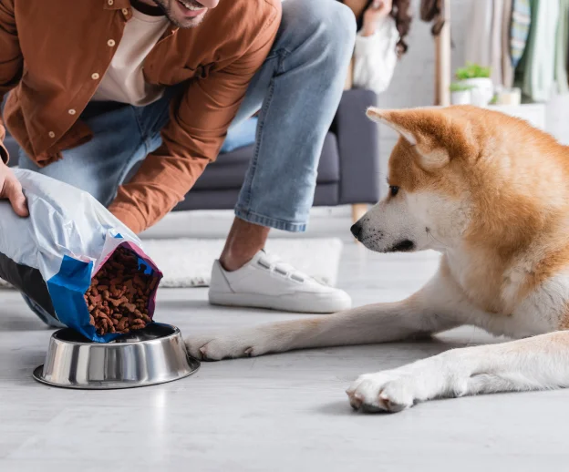 croquettes pour chiens à Maine-en-Boixe près d'Angoulême en Charente 16