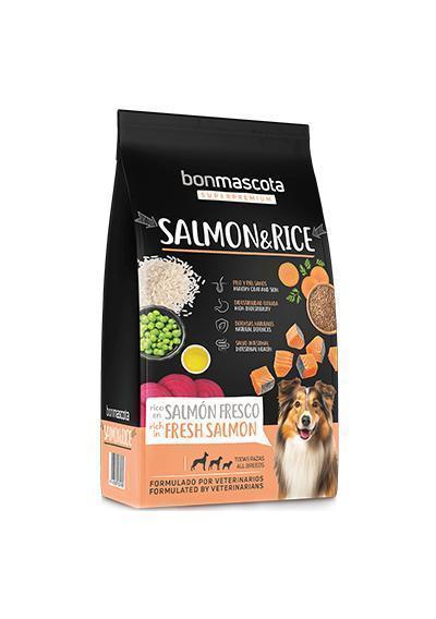 saumon et riz premium 26/14